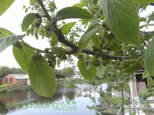 WP_000855.jpg