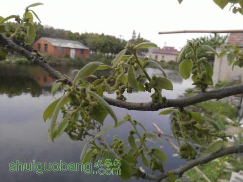 WP_000856.jpg