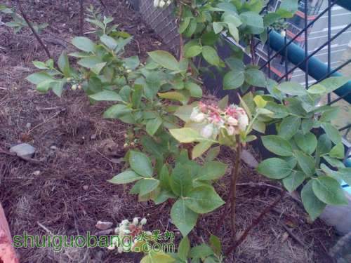 IMG_20130416_160850(1)_.jpg