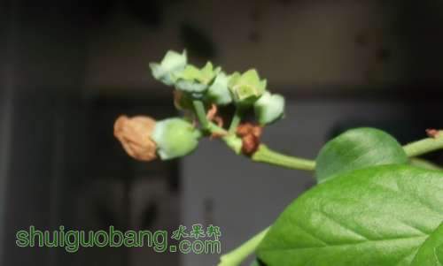 QQ��ͼ20130419083849.jpg