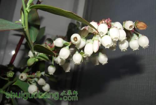 QQ��ͼ20130419084006.jpg