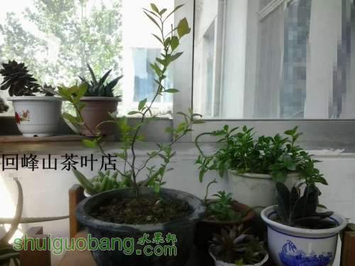 2013-04-15 08.32.02_.jpg