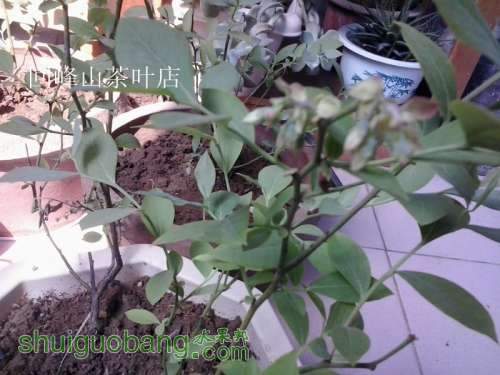 2013-04-19 09.45.46_.jpg