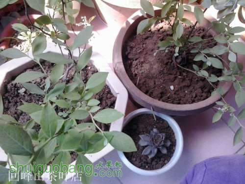 2013-04-19 09.49.52_.jpg