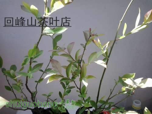 2013-04-14 09.47.46_.jpg