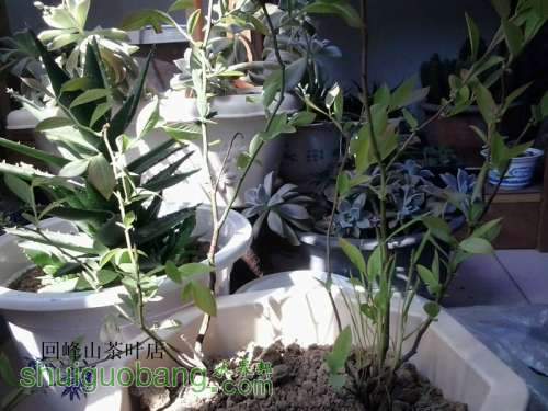 2013-04-14 09.59.34_.jpg