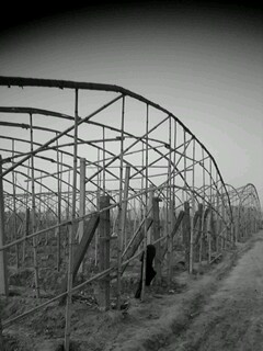 picture_02127.jpg