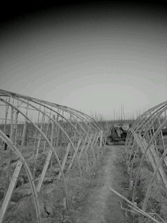 picture_02129.jpg