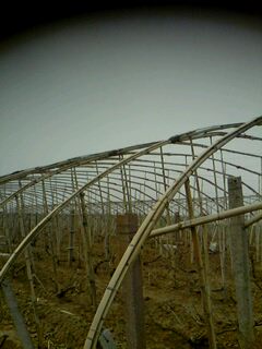 picture_02139.jpg