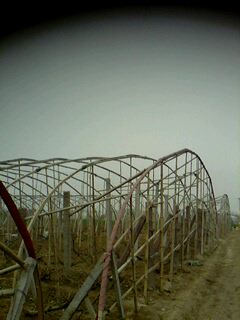 picture_02140.jpg