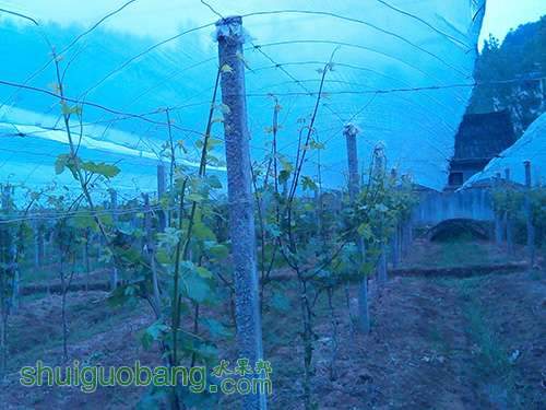 IMG_20130419_154953_0.jpg