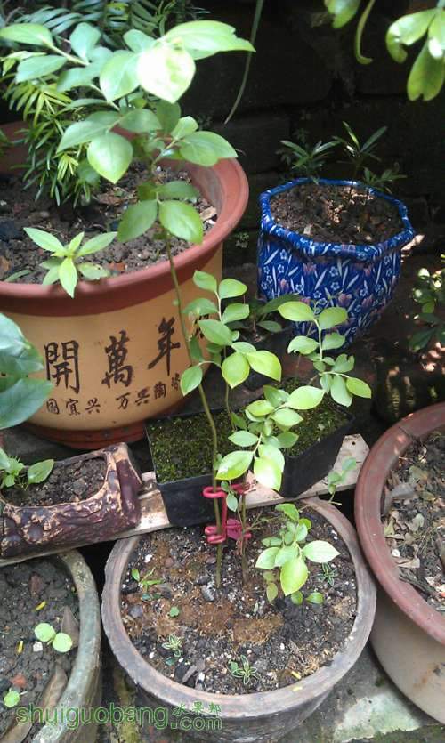 IMAG0029.jpg