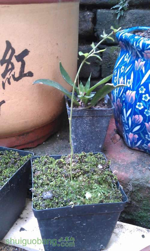 IMAG0030.jpg