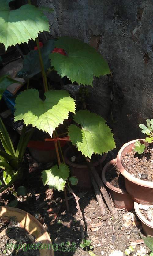 IMAG0033.jpg