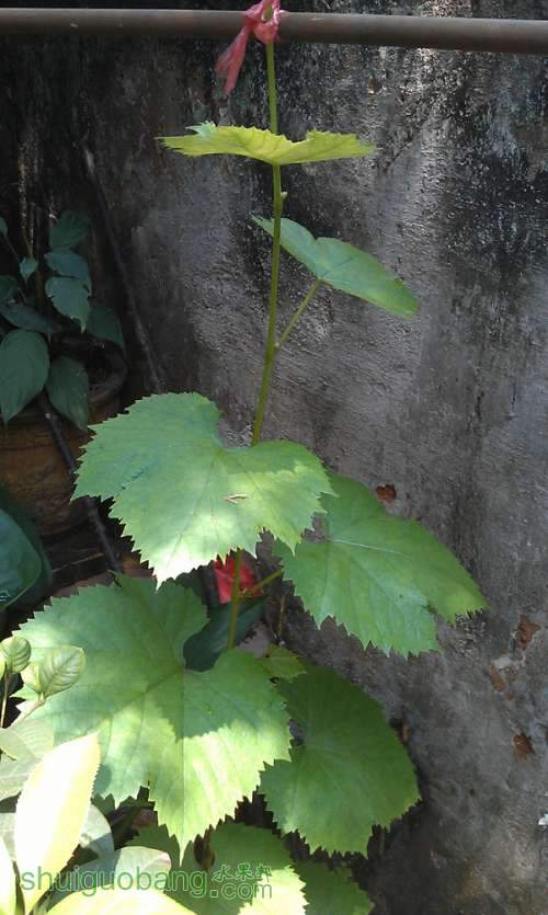 IMAG0034.jpg