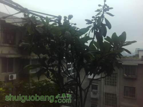 QQ��ͼ20130420163233.jpg