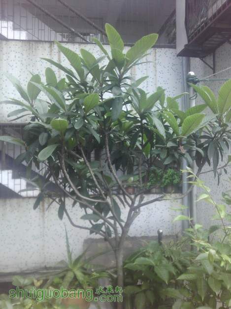 QQ��ͼ20130420163241.jpg