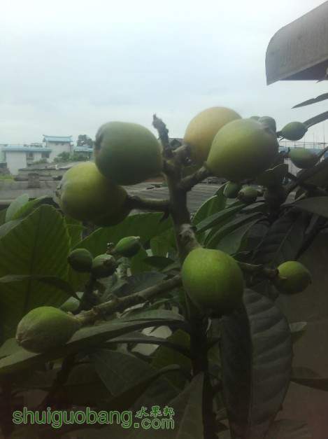 QQ��ͼ20130420163213.jpg
