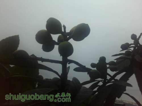 QQ��ͼ20130420163224.jpg