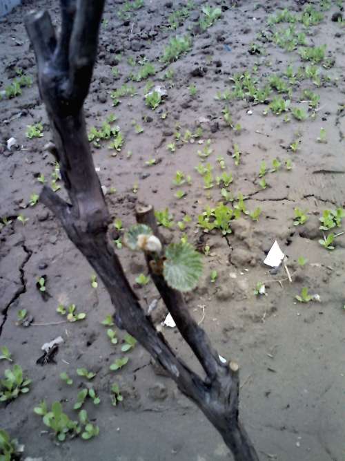 YP20130420155300.jpeg