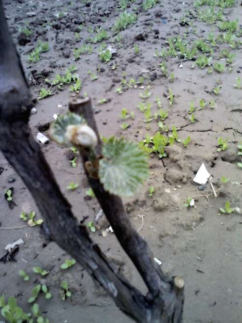 YP20130420155310.jpeg