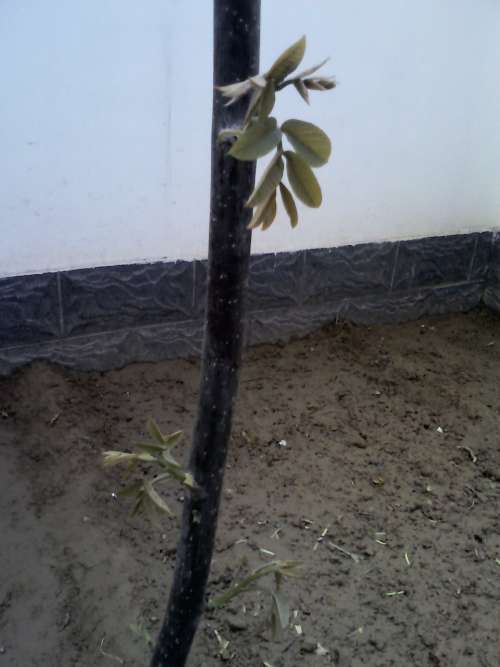 YP20130420121344.jpeg