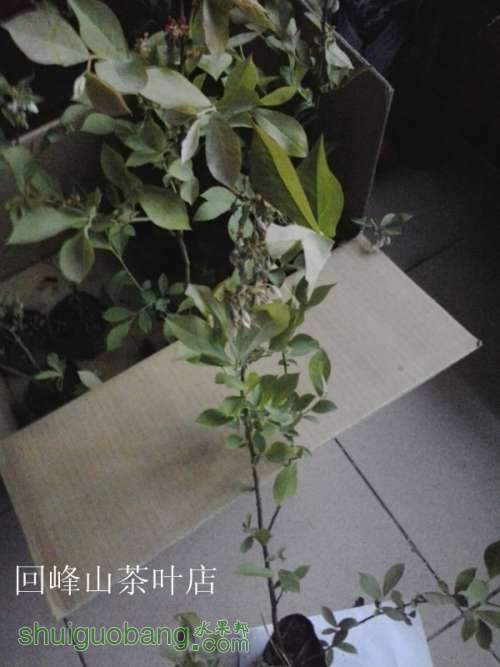 2013-04-20 16.20.53_.jpg