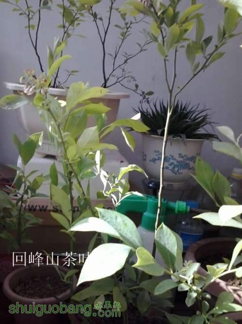 2013-04-21 08.13.09_.jpg