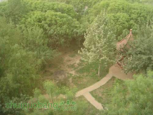 ������С DSC00025.JPG