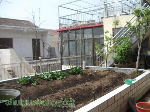 Ƭ 077.jpg