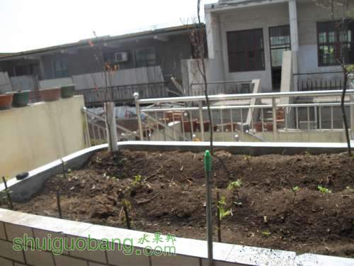 Ƭ 078.jpg