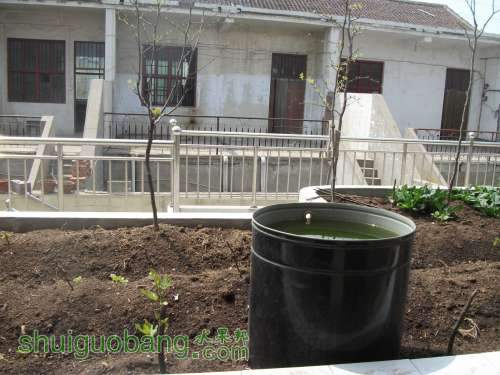 Ƭ 079.jpg
