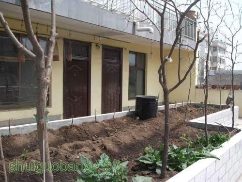 Ƭ 082.jpg
