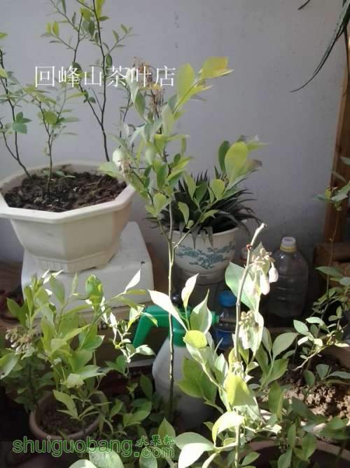 2013-04-21 08.12.06_����.jpg
