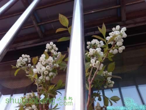 IMG_20130410_182646.jpg
