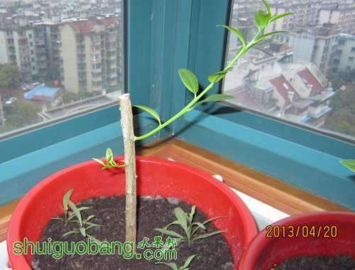 103019xhu259x2h1gggyh1.jpg