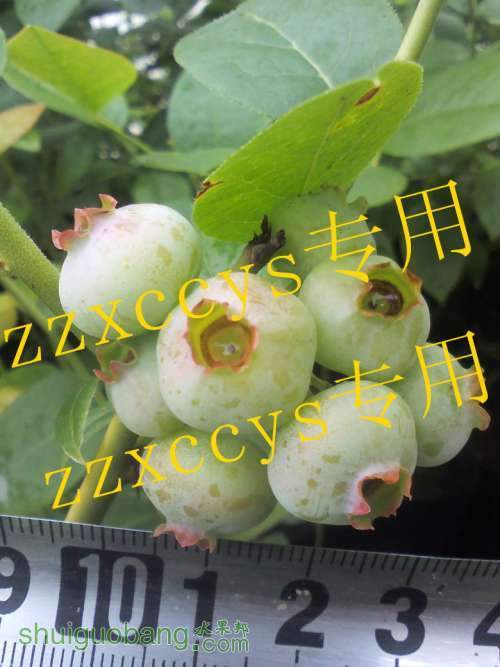 YP20130423161327_����.jpg