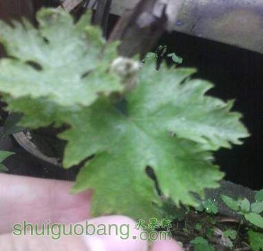 QQ��ͼ20130423220013.jpg