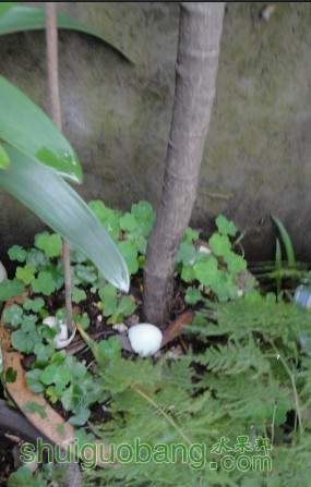 QQ��ͼ20130424170503.jpg