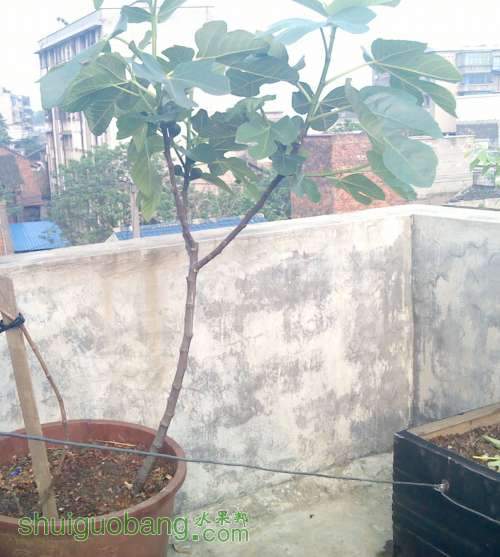 2013-04-24 17.24.14_����.jpg