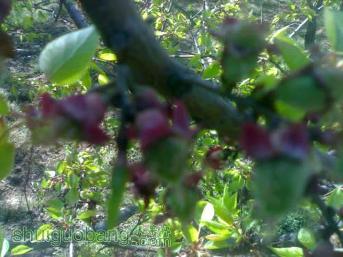 UC_Photo_3.jpg