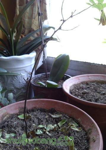 QQͼƬ20130426095009.jpg