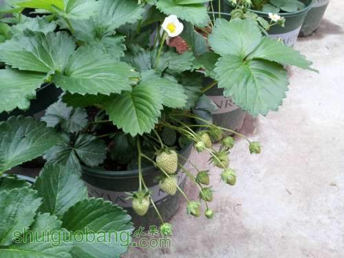 20130423_183324.jpg