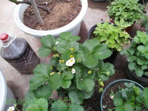 20130423_183338.jpg