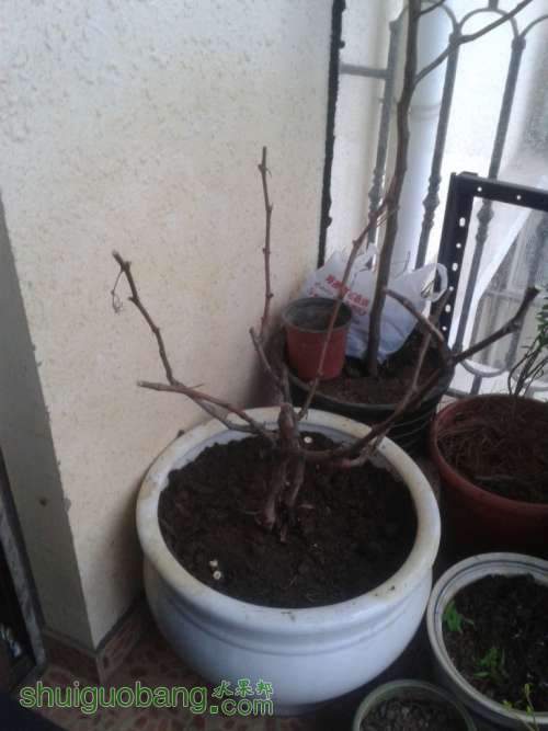 2013-04-19 18.03.27.jpg