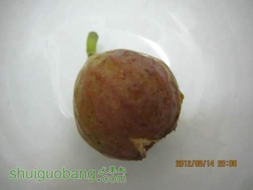 �ǵ�.jpeg