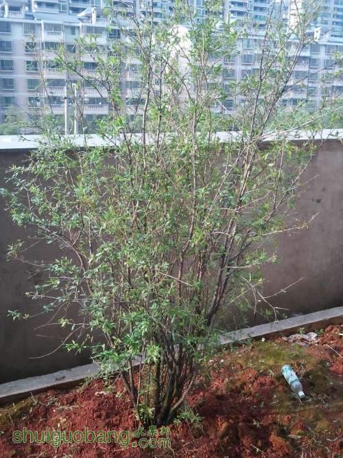 2013-04-28 17.25.55.jpg