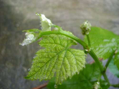 2012.4.5 (11).jpg