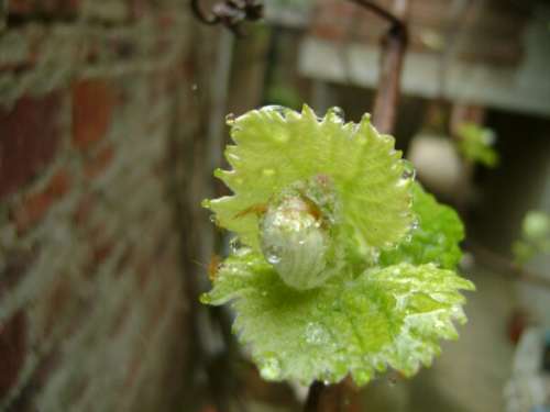 2012.4.5 (28).jpg