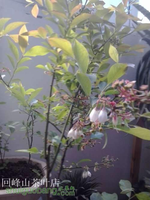 2013-04-24 09.53.21_.jpg